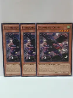 YUGIOH SHINOBIRD CROW X3 COMMON LIGHT PLAYED - Image 1