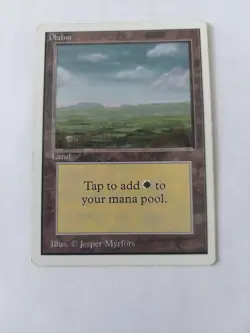 Plains (C Dark) Unlimited NM Basic Land MAGIC THE GATHERING MTG CARD - Image 1
