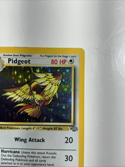 Pidgeot 08/64 Jungle Holo Pokemon Card Vintage Rare TCG - Image 5