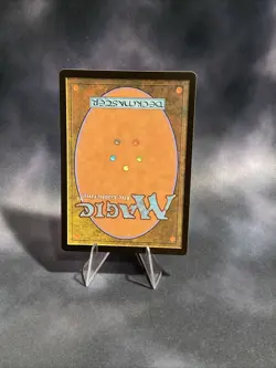 Dol Amroth - Minamo, School at Water's Edge Commander: the Lord of the Rings:... - Image 2