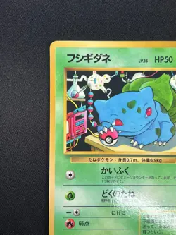 [NM] Bulbasaur Pokemon Card Japanese No.001 Bulbasaur Deck Vintage Glossy 25O42 - Image 4