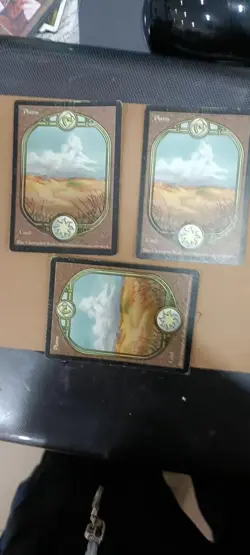 Plains Unglued Basic Land Extended / Full Art MTG see image - Image 2