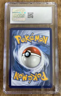 Pokemon Squirtle IR 148/142 Sv07 Stellar Crown Holo Illustration Rare CGC 10! - Image 2