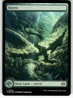 MTG | Forest (#276) (Full Art) FOIL | (NM) Tarkir: Dragonstorm - Image 1
