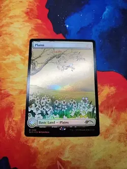 Plains (1399) - Secret Lair Drop Series (SLD) - Foil - NM - Image 1