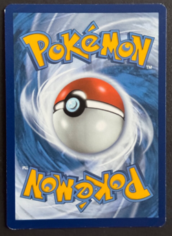 Hippopotas - 93/189 - Darkness Ablaze - Reverse Holo - Pokemon TCG - NM - Image 2