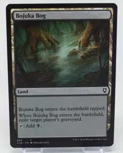 Magic The Gathering Commander Legends Battle for Baldur's Gate #882 Bojuka Bog - Image 3