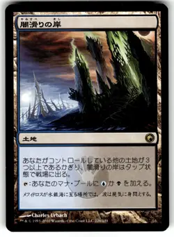 X4 4X DARKSLICK SHORES SCARS OF MIRRODIN JAPANESE MP - Image 5