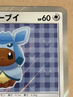 Poncho Wearing Eevee Wearing PROMO Sealed Pokemon Card From Japan US DDP - Image 3