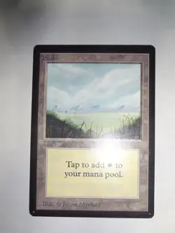 MTG MAGIC THE GATHERING CARD ORIGINAL BETA LAND PLAINS A V1 GRASS NO TREES WHITE - Image 1