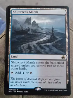 MTG Shipwreck Marsh 267 MID Rare Non-Foil, Innistrad Midnight Hunt NM - Image 1