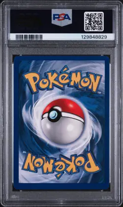 1999 Pokemon 1st Edition Shadowless Squirtle #63 PSA 8 - Image 2