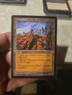 MTG Trmpest ***Wasteland*** Never Played Nm/M - Image 1