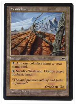 MTG Tempest - 1x Wastleland - NM - Image 1