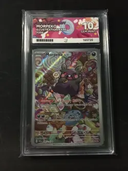 MORPEKO 206/182 Paradox Rift Illustration Rare Pokemon Ace 10 - Image 1
