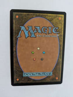 Wooded Bastion Shadowmoor MTG NM Fre shipping with tracking - Image 2