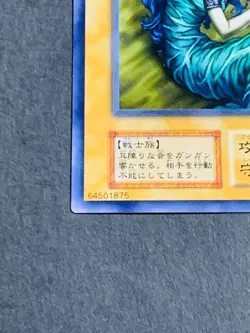 NM Yu-Gi-Oh! Yugioh Cards Hibikime Vol.6 64501875 1999 Japanese waifu - Image 4