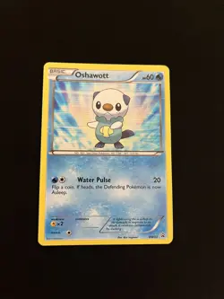 Oshawott - BW03 EXC Pokemon Cards Black and White Promos Holo Rare - Image 1