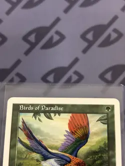 Birds of Paradise - 7th Edition - Near Mint/LP - MTG Magic The Gathering English - Image 3