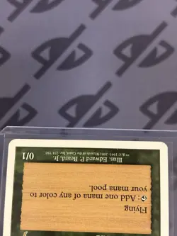 Birds of Paradise - 7th Edition - Near Mint/LP - MTG Magic The Gathering English - Image 4