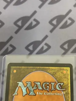 Birds of Paradise - 7th Edition - Near Mint/LP - MTG Magic The Gathering English - Image 5