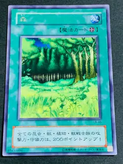 Yugioh Cards Umi Sogen Forest Yami Wasteland Mountain Field 1st Japanese Sea - Image 4