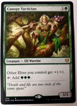 MTG: Kaldheim - Canopy Tactician - Rare #378 - VLP - Image 1