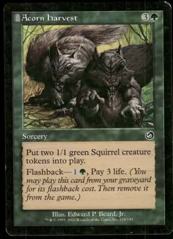 1x Acorn Harvest - Torment - LP - MTG - Image 1