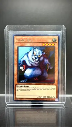 Yugioh! Giant Rat - SRL-EN079 - Rare - Unlimited 25th Anniversary Edition Near M - Image 3