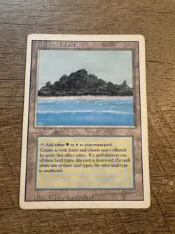 Tropical Island Revised Edition MP/Good Condition - Image 1