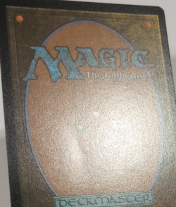 Archmage of Echoes *MP* [Wilds of Eldraine] MTG - Image 3