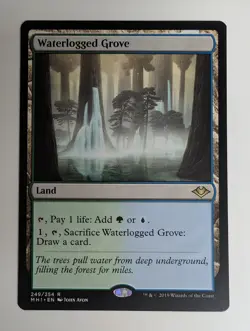 MTG - Waterlogged Grove - MH1 - R - 249 - Image 1