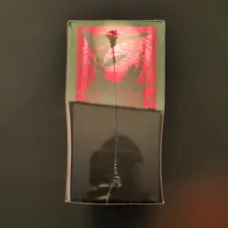 Pokemon TCG Temporal Forces Elite Trainer Box ETB Sealed with protective case - Image 2