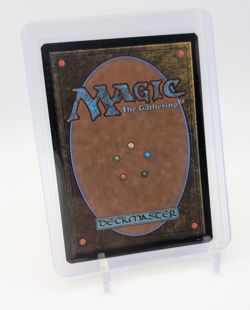 MTG - Haliya, Guided by Light - Regular Rare #19 - Edge of Eternities NM - Image 2
