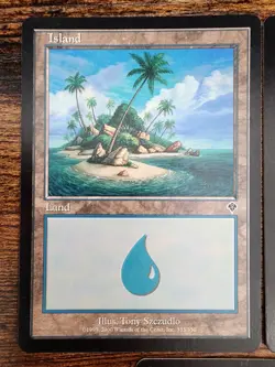 MTG ⭐Invasion Basic Land Set VLP⭐ 5x Lands: 1x of each land ⭐2000 Vintage Magic - Image 3