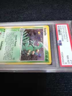 2003 Pokemon Sceptile 11/109 EX Ruby & Sapphire Holo PSA 8 WOTC - Image 5