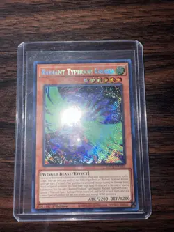Radiant Typhoon Krosea - Secret Rare DOOD-EN015 Yugioh Tcg - Image 1