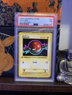 Pokemon Voltorb - 1st Edition Shadowless Base Set - PSA 7 NM - Image 1