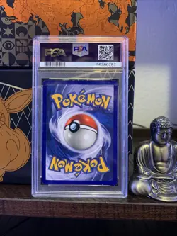 Pokemon Voltorb - 1st Edition Shadowless Base Set - PSA 7 NM - Image 2
