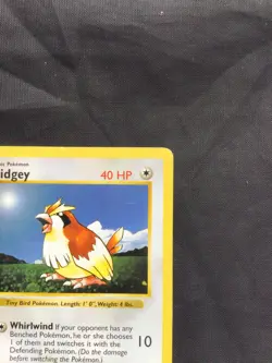 Pokemon Cards: Base Set 1st Edition Common: Pidgey 57/102 - Image 3