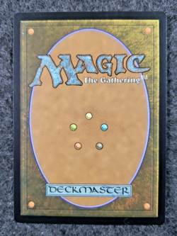 Creeping Chill Magic the Gathering MTG Guilds of Ravnica MINT (DS3D1L1) - Image 2