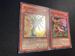 Evocator Chevalier SDWS-EN002 & Featherizer SDWS-EN003 - 1st Edition - LP - Image 5