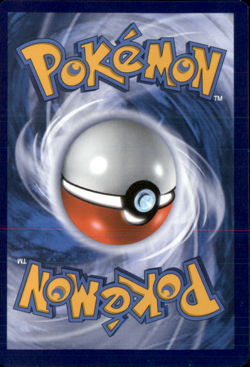 Charizard VSTAR - SWSH262 - SWSH: Sword & Shield Promo Cards - Image 2
