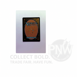 Parallel Lives Mtg Spider-Man Special Guest NM Foil Borderless - Image 2