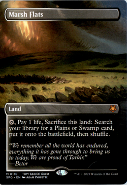 Marsh Flats (Borderless) - Special Guests - Image 1