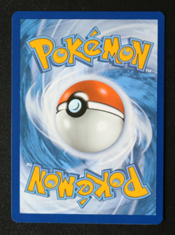 Zeraora 151/142 - S&V Stellar Crown - Illustration Rare IR - Pokemon TCG Card NM - Image 2