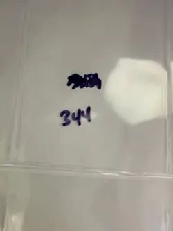 Magic the Gathering: Beta Sea Serpent MTG Beta - Image 3