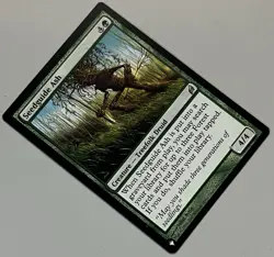 MTG Lorwyn Seedguide Ash Creature - Treefolk Druid UNCOMMON REGULAR #235 - Image 2