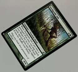 MTG Lorwyn Seedguide Ash Creature - Treefolk Druid UNCOMMON REGULAR #235 - Image 3