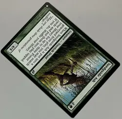 MTG Lorwyn Seedguide Ash Creature - Treefolk Druid UNCOMMON REGULAR #235 - Image 4